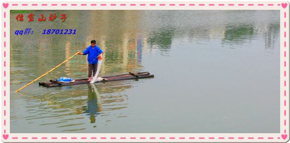 IMG_3317.jpg