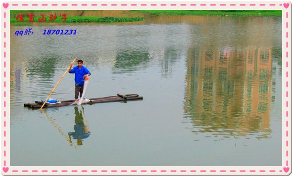 IMG_3319.jpg
