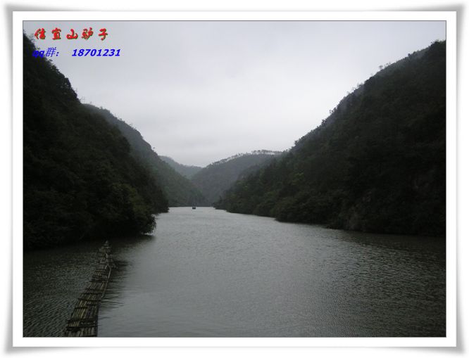 P1010114.jpg