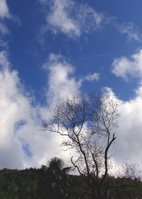 a4.jpg