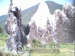 IMG0088A.jpg
