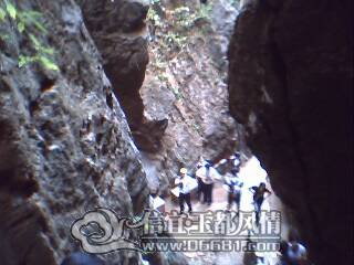 IMG0095A.jpg