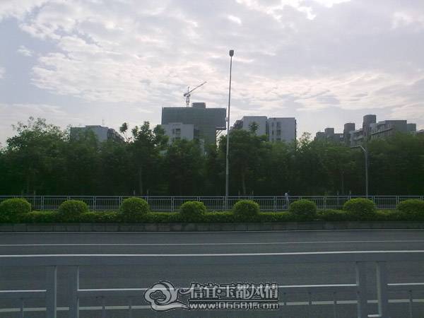 20101003261.jpg