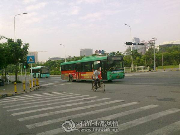 20101003263.jpg