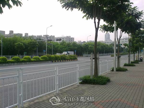 20101003260.jpg