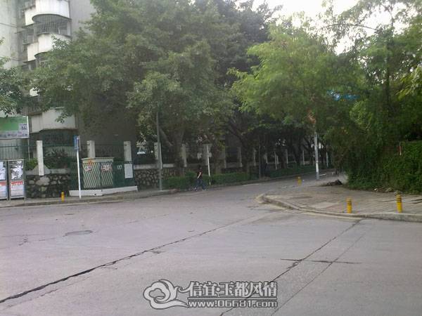 20101003267.jpg