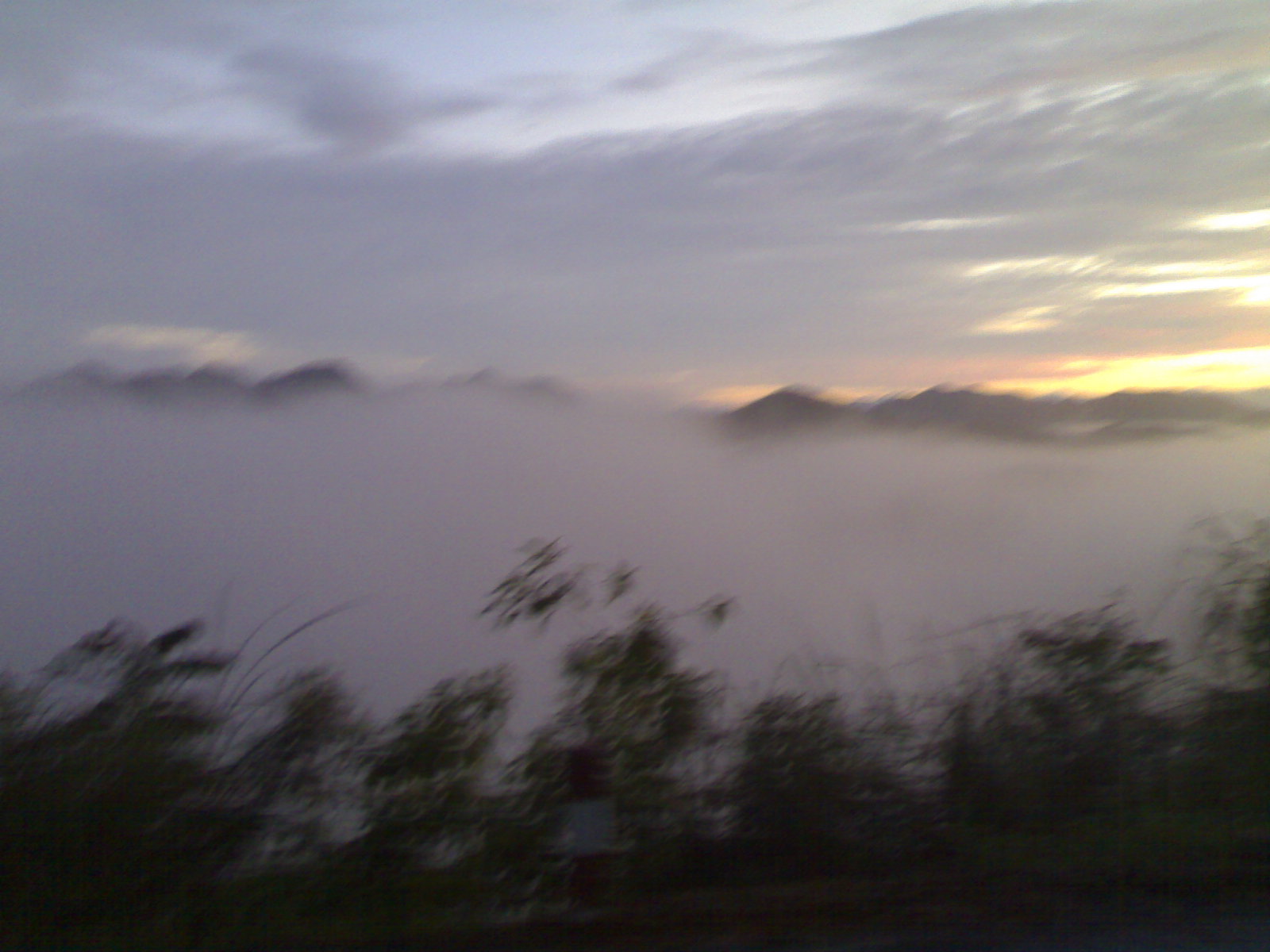 20100924515.jpg