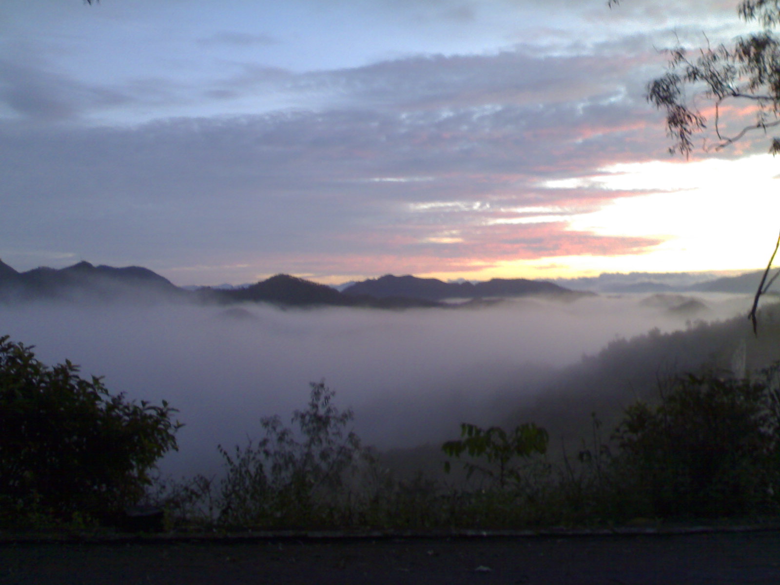 20100924519.jpg