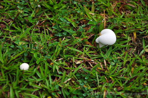 DSC_2090.jpg