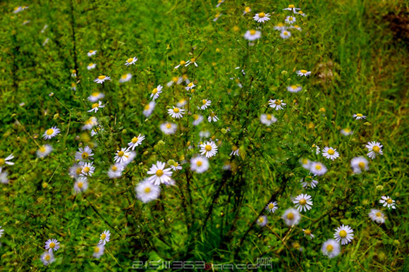 DSC_2198.jpg