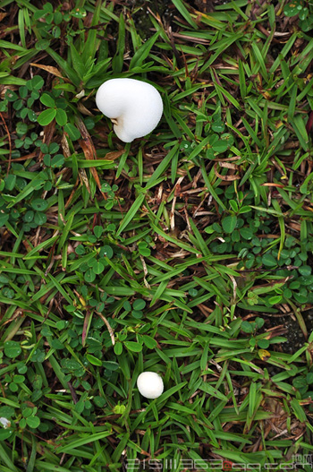 DSC_2091.jpg