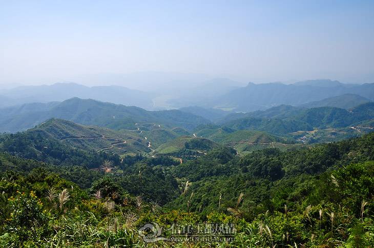 DSC_3101-2.jpg