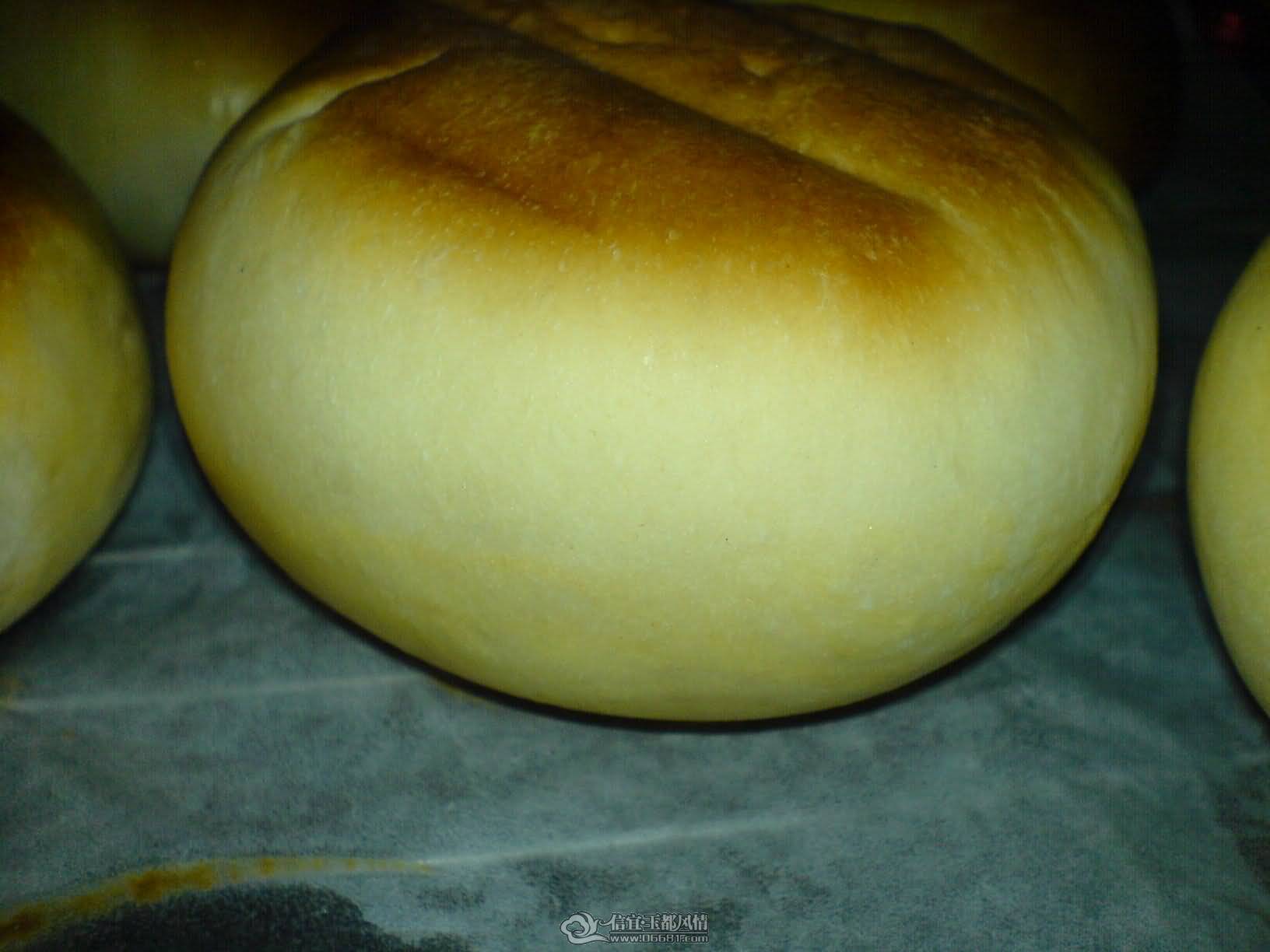 DSC00800.JPG