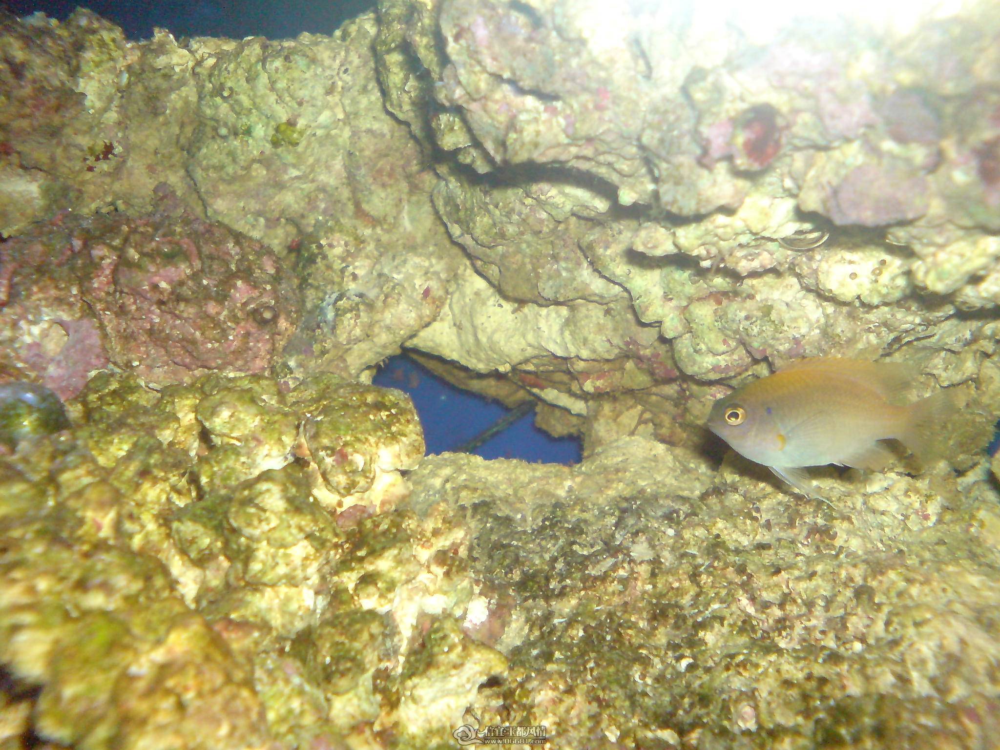 DSC00074.JPG