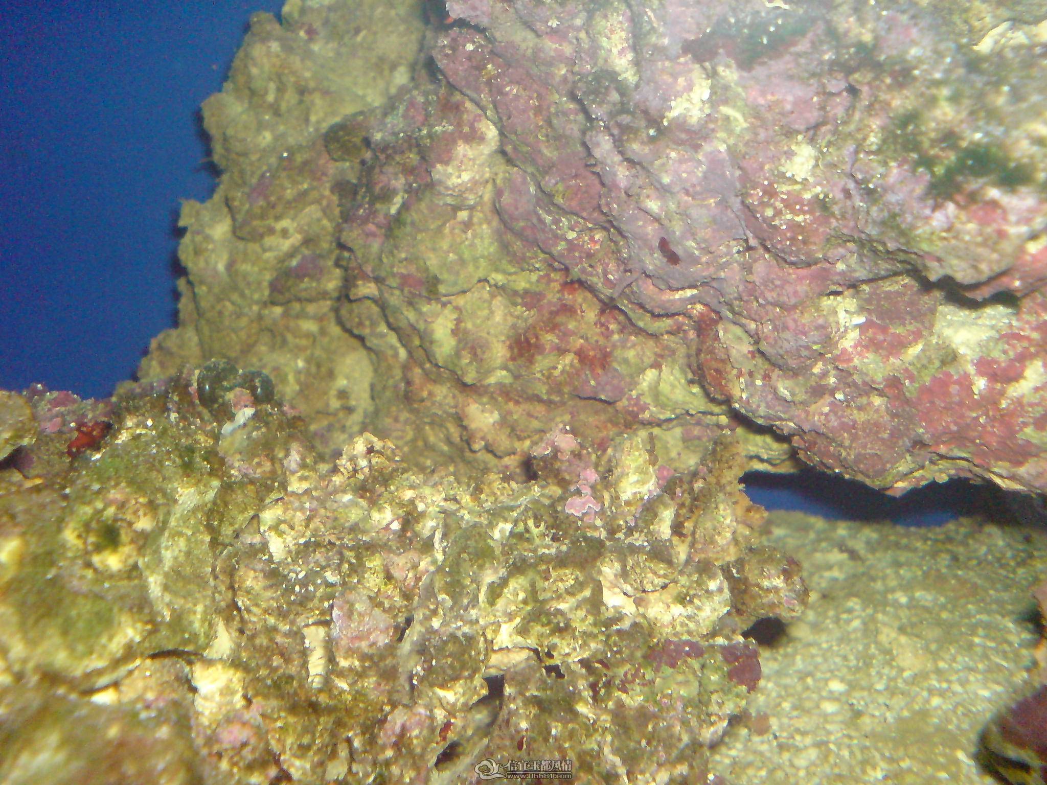 DSC00073.JPG