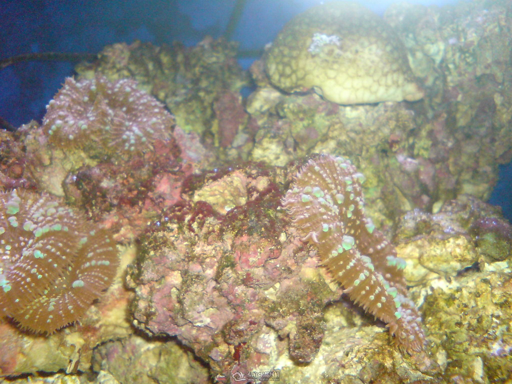DSC00072.JPG
