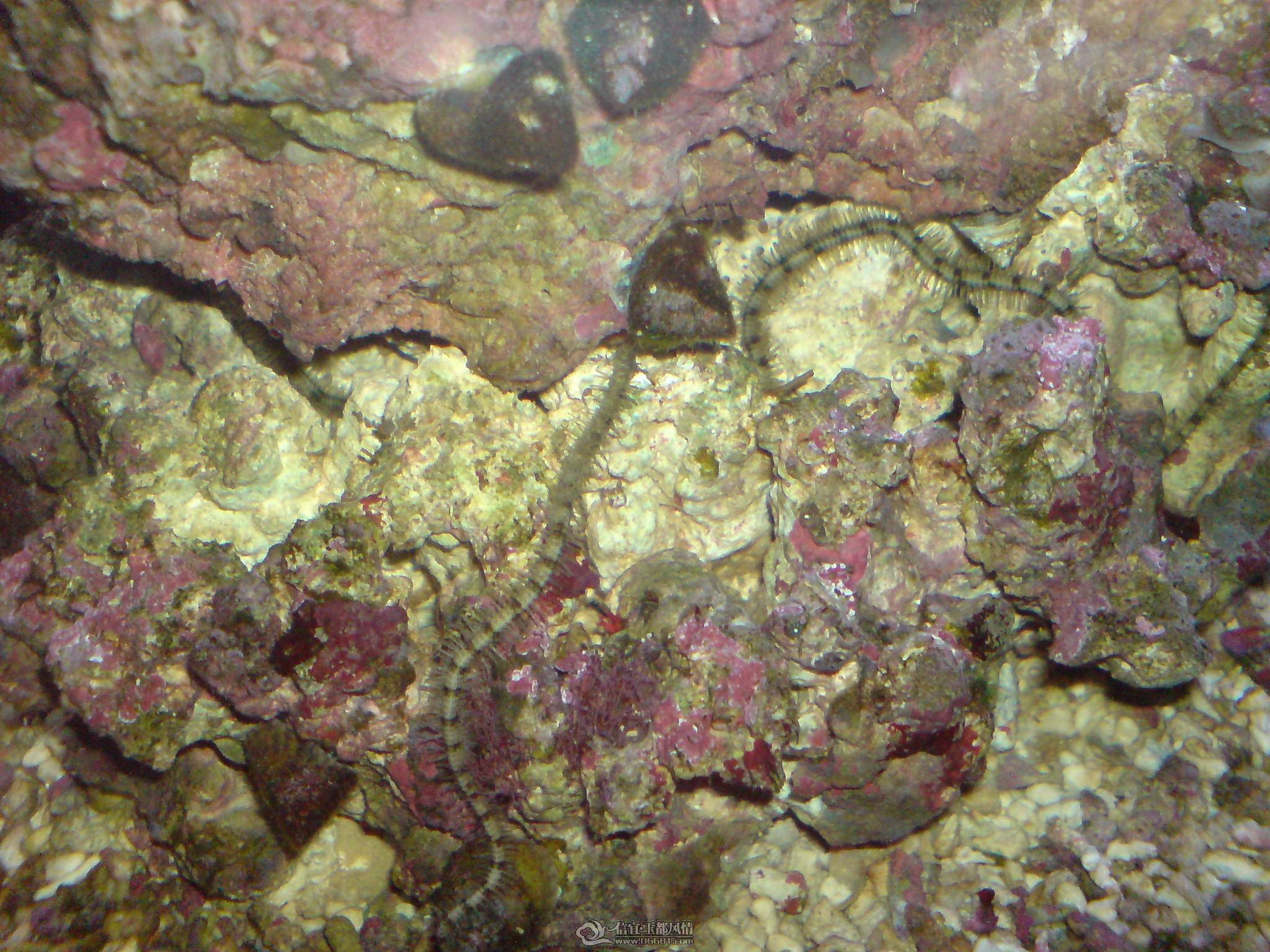 DSC00081.JPG