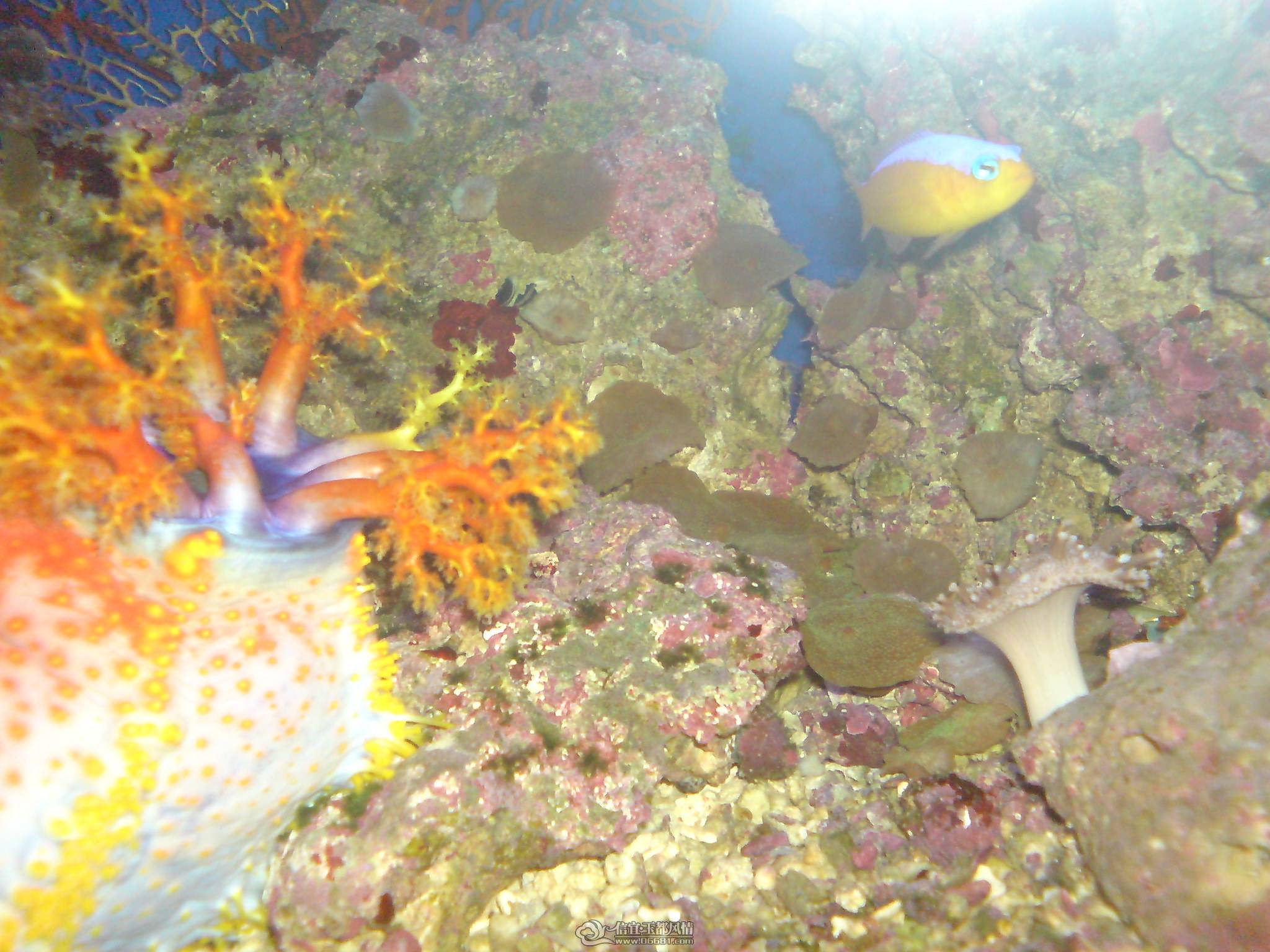 DSC00080.JPG