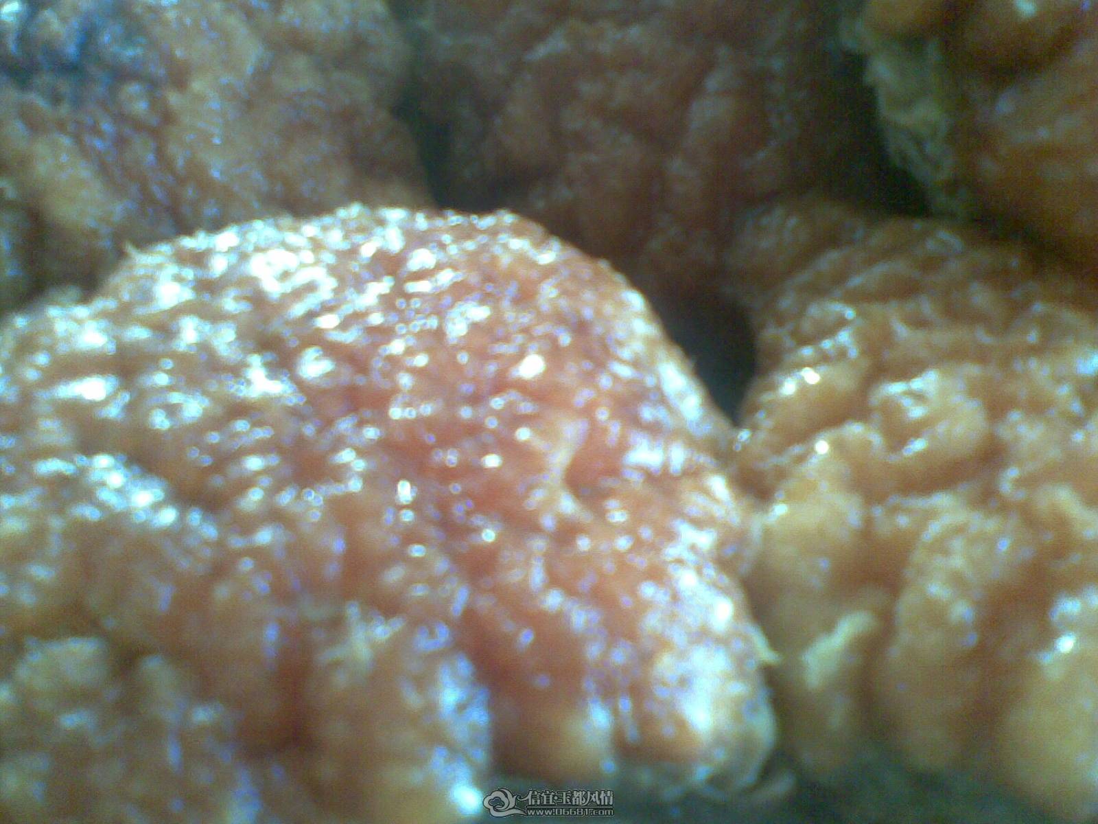 20101111(002).jpg