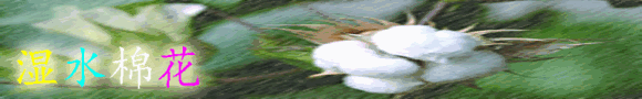 �ޱ���.gif