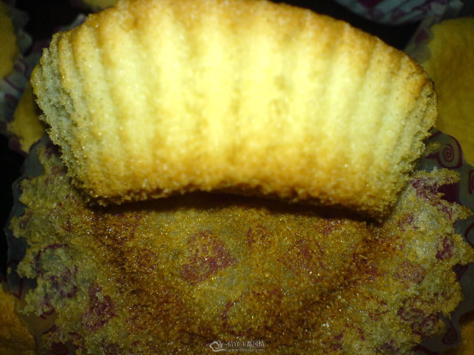 DSC00866.JPG