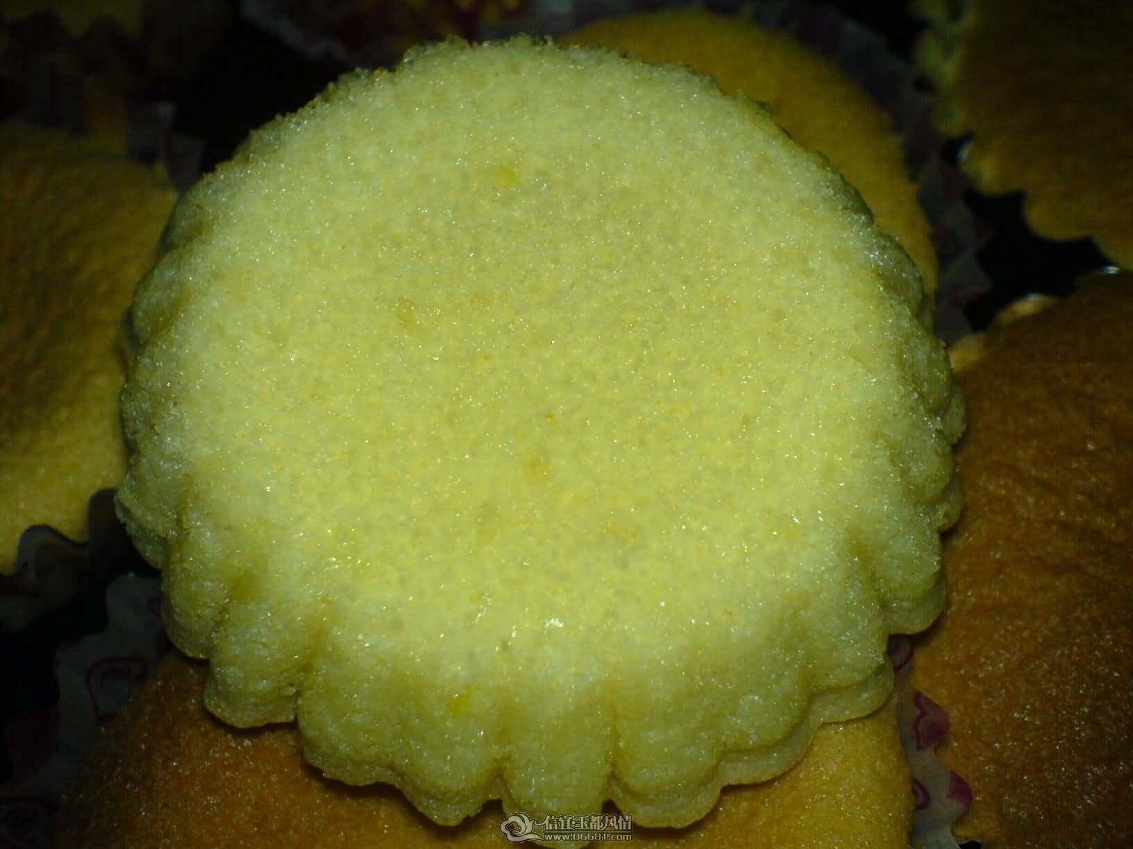 DSC00861.JPG