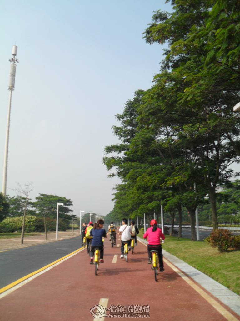 SAM_2190.JPG