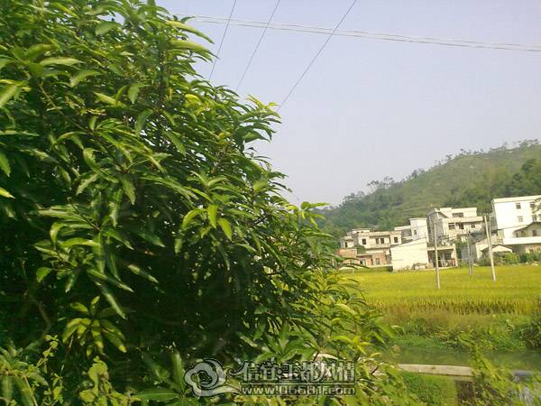 20101020609.jpg