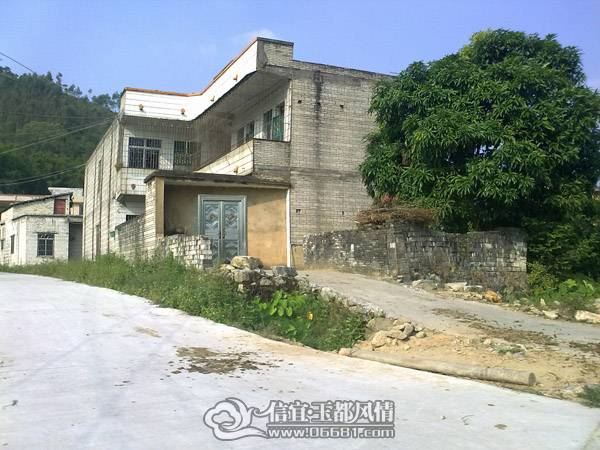 20101020605.jpg