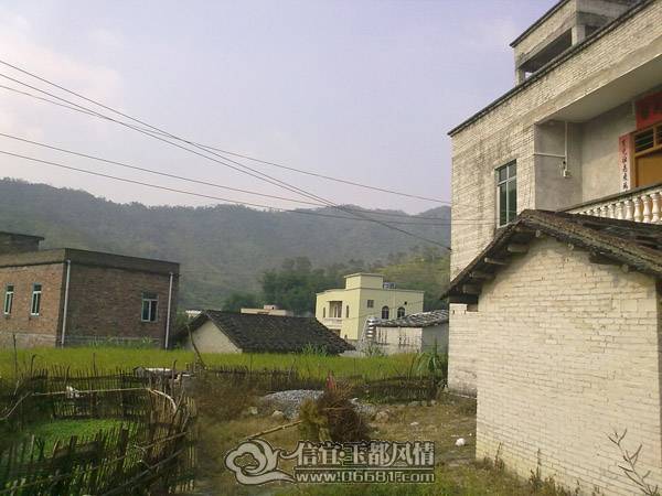 20101020618.jpg