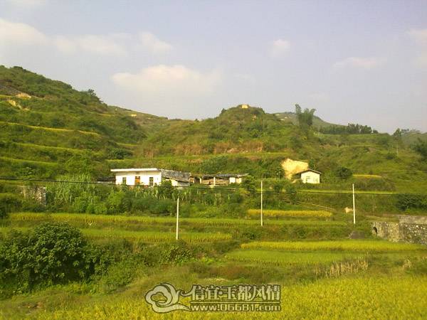20101020633.jpg