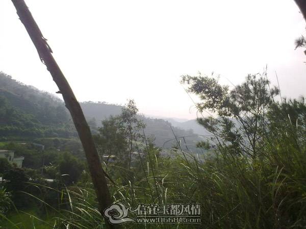 20101020641.jpg