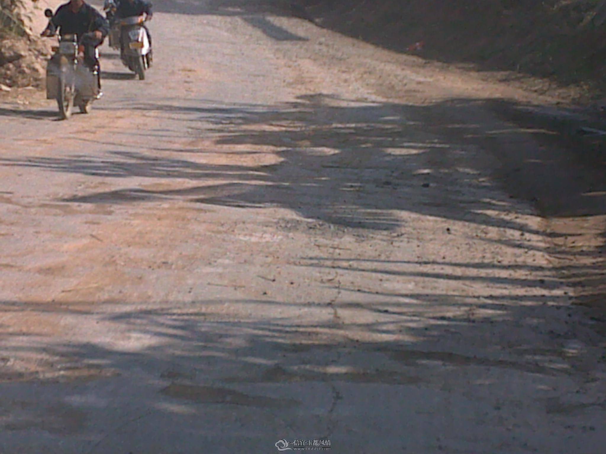 201012291068.jpg