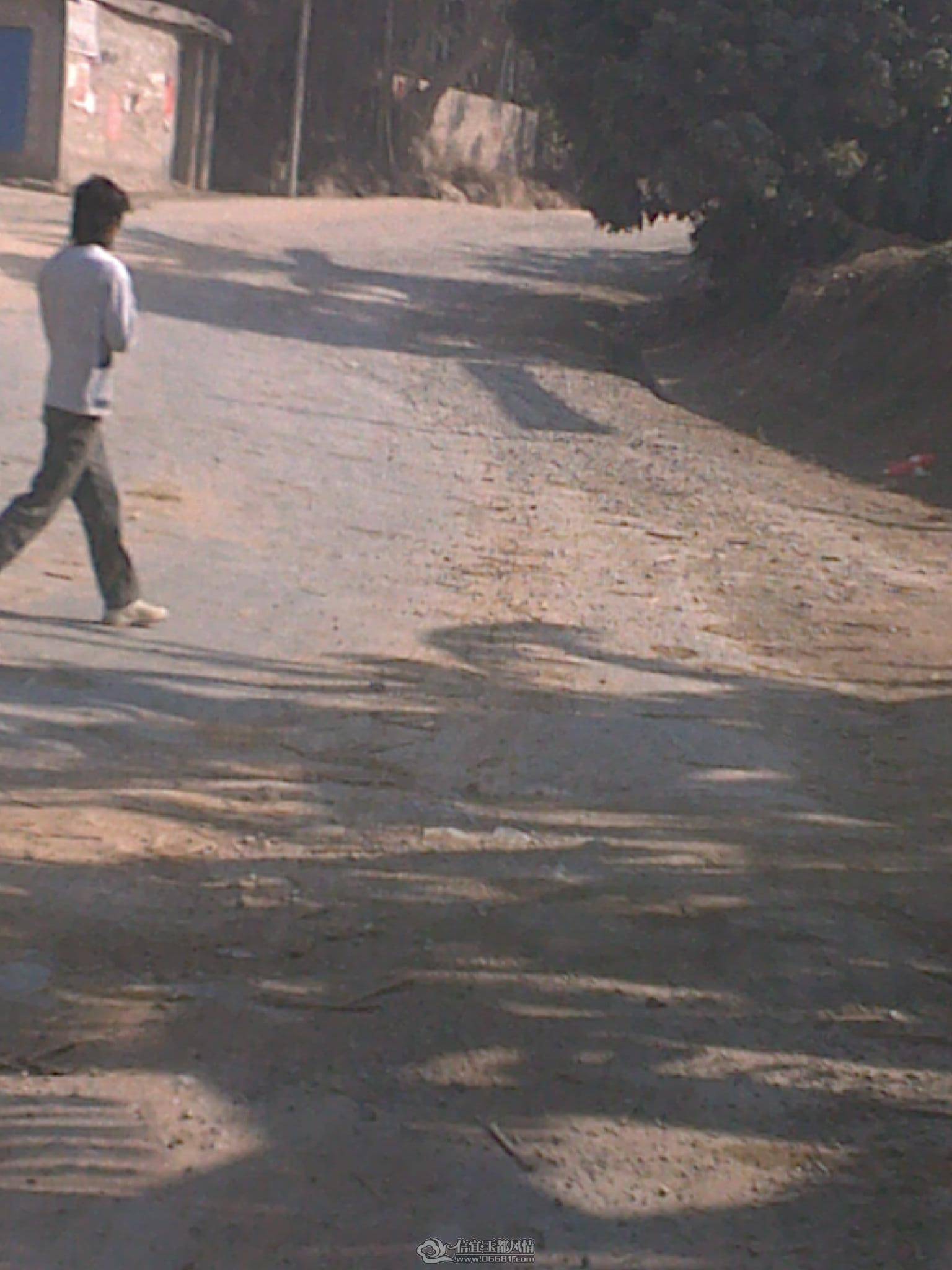 201012291069.jpg