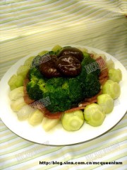 DSC02914_conew1.jpg